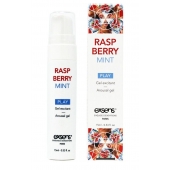 Возбуждающий гель Raspberry Mint с ароматом малины и мяты - 15 мл. - Exsens - купить с доставкой в Липецке