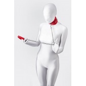 Красный ошейник с подкладкой из меха - ToyFa - купить с доставкой в Липецке