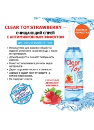 Очищающий спрей для игрушек CLEAR TOY Strawberry - 100 мл. - Биоритм - купить с доставкой в Липецке