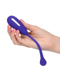 Фиолетовый шарик с электростимуляцией и вибрацией Intimate E-Stimulator Remote Kegel Exerciser - California Exotic Novelties - купить с доставкой в Липецке