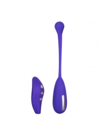 Фиолетовый шарик с электростимуляцией и вибрацией Intimate E-Stimulator Remote Kegel Exerciser - California Exotic Novelties - купить с доставкой в Липецке