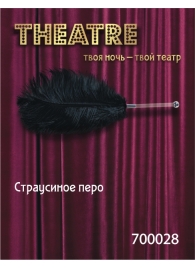 Чёрное страусовое пёрышко - ToyFa - купить с доставкой в Липецке