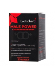 Капсулы для мужчин Erotichard male power с пантогематогеном - 20 капсул (0,370 гр.) - Erotic Hard - купить с доставкой в Липецке