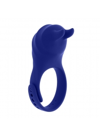 Синее эрекционное виброкольцо с клиторальной подушечкой и пультом ДУ Adjustable Fun Ring - Zero Tolerance - в Липецке купить с доставкой