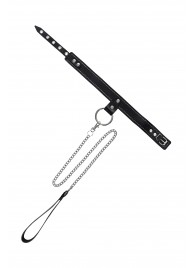 Черный узкий однослойный ошейник с серебристым поводком-цепочкой - Pecado - купить с доставкой в Липецке