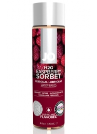 Лубрикант на водной основе с ароматом малины JO Flavored Raspberry Sorbet - 120 мл. - System JO - купить с доставкой в Липецке