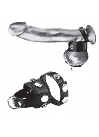 Утяжка для мошонки и пениса Cock Ring With 1  Ball Stretcher And Optional Weight Ring - BlueLine - купить с доставкой в Липецке