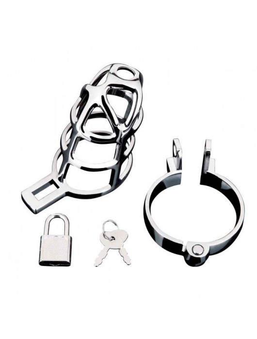 Серебристая металлическая клетка для члена с замком Enslave Cock Cage - BlueLine - купить с доставкой в Липецке