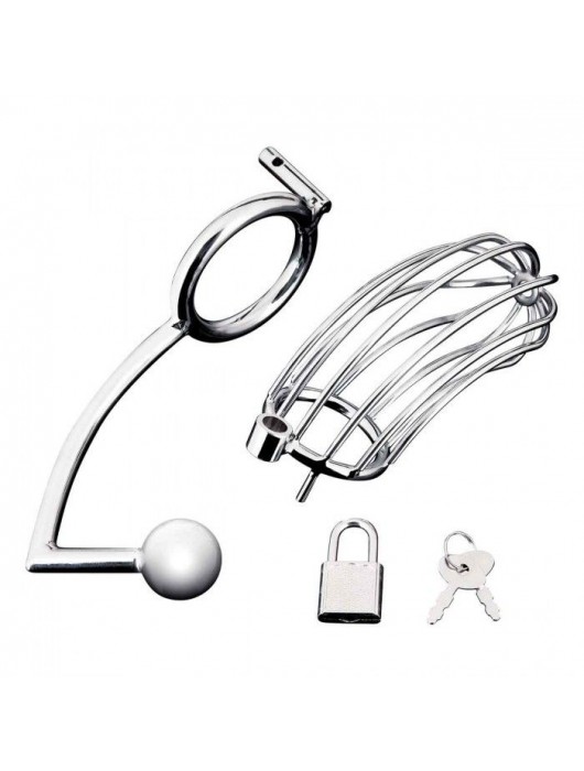 Серебристая металлическая клетка с анальным стимулятором Cock Cage - BlueLine - купить с доставкой в Липецке