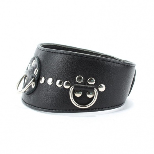 Чёрный кожаный ошейник с полукольцами и клёпками - БДСМ Арсенал - купить с доставкой в Липецке