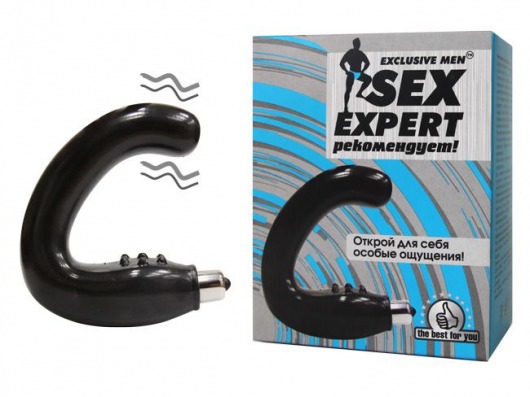 Чёрный массажёр простаты серии Sex Expert - Sex Expert - в Липецке купить с доставкой