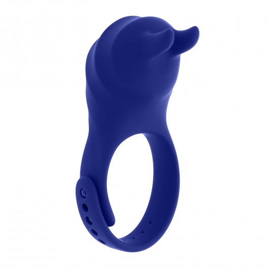 Синее эрекционное виброкольцо с клиторальной подушечкой и пультом ДУ Adjustable Fun Ring - Zero Tolerance - в Липецке купить с доставкой