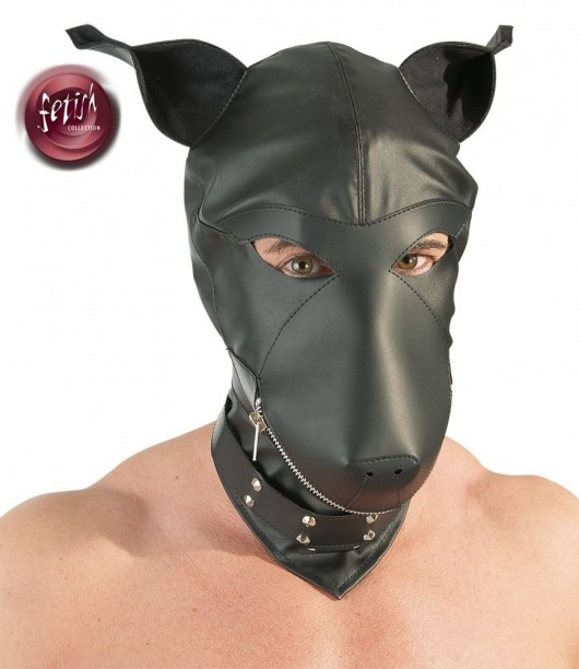 Шлем-маска Dog Mask в виде морды собаки - Orion - купить с доставкой в Липецке