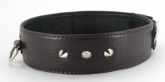 Коричневый кожаный ошейник с кольцом увеличенного размера - БДСМ Арсенал - купить с доставкой в Липецке