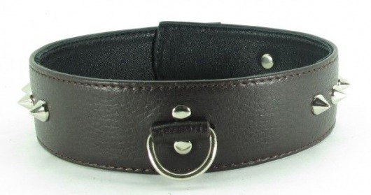 Коричневый кожаный ошейник с кольцом увеличенного размера - БДСМ Арсенал - купить с доставкой в Липецке