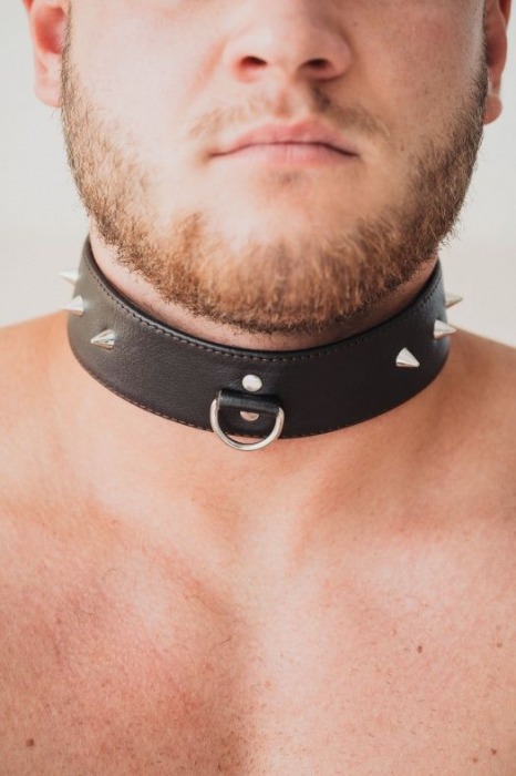 Коричневый кожаный ошейник с кольцом увеличенного размера - БДСМ Арсенал - купить с доставкой в Липецке