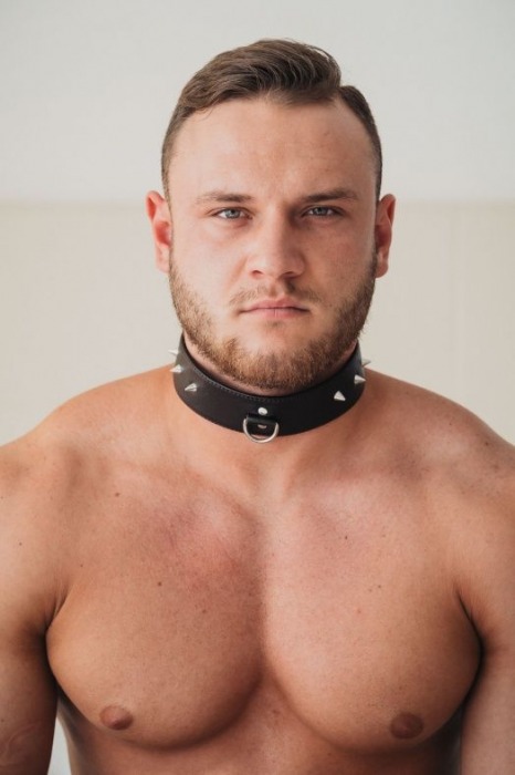 Коричневый кожаный ошейник с кольцом увеличенного размера - БДСМ Арсенал - купить с доставкой в Липецке